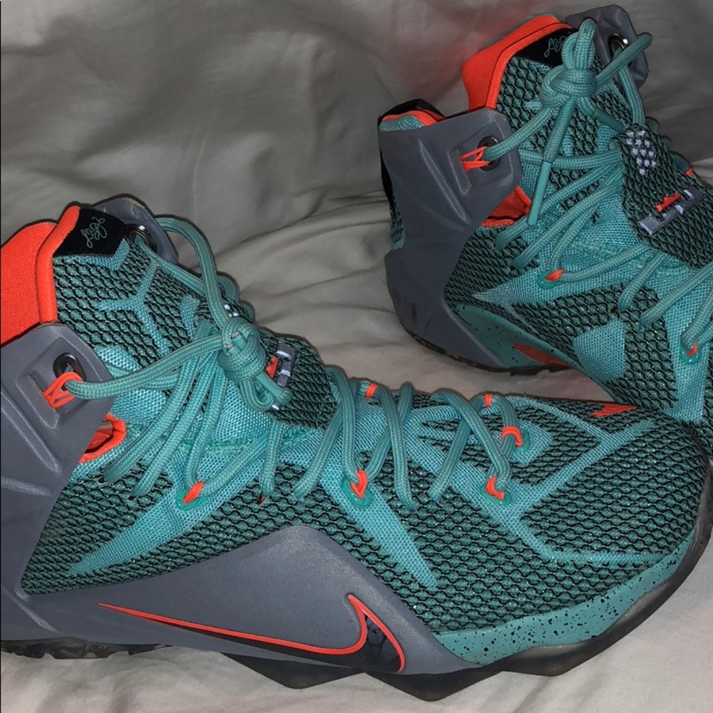 Lebron Basketball Shoes